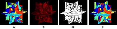 Feasibility of 3D Reconstruction of Neural Morphology Using Expansion Microscopy and Barcode-Guided Agglomeration